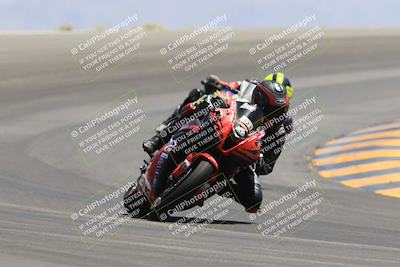 media/May-14-2023-SoCal Trackdays (Sun) [[024eb53b40]]/Turn 12 (1145am)/